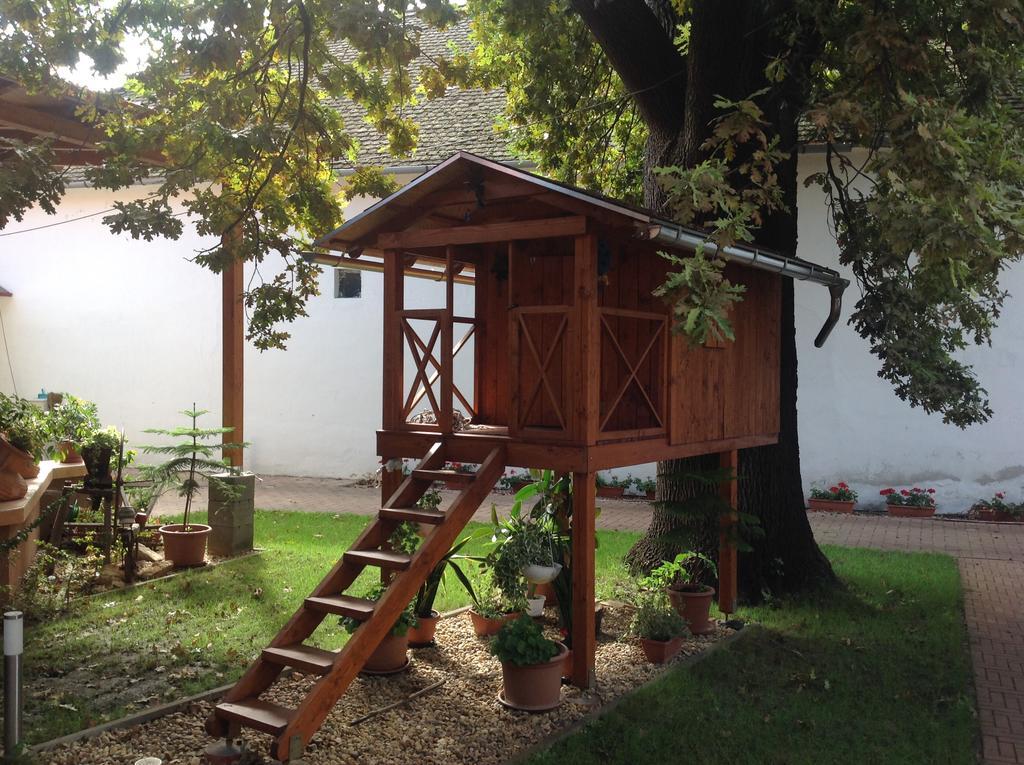 Oeregtoelgy Panzio Hotel Csongrad Ngoại thất bức ảnh