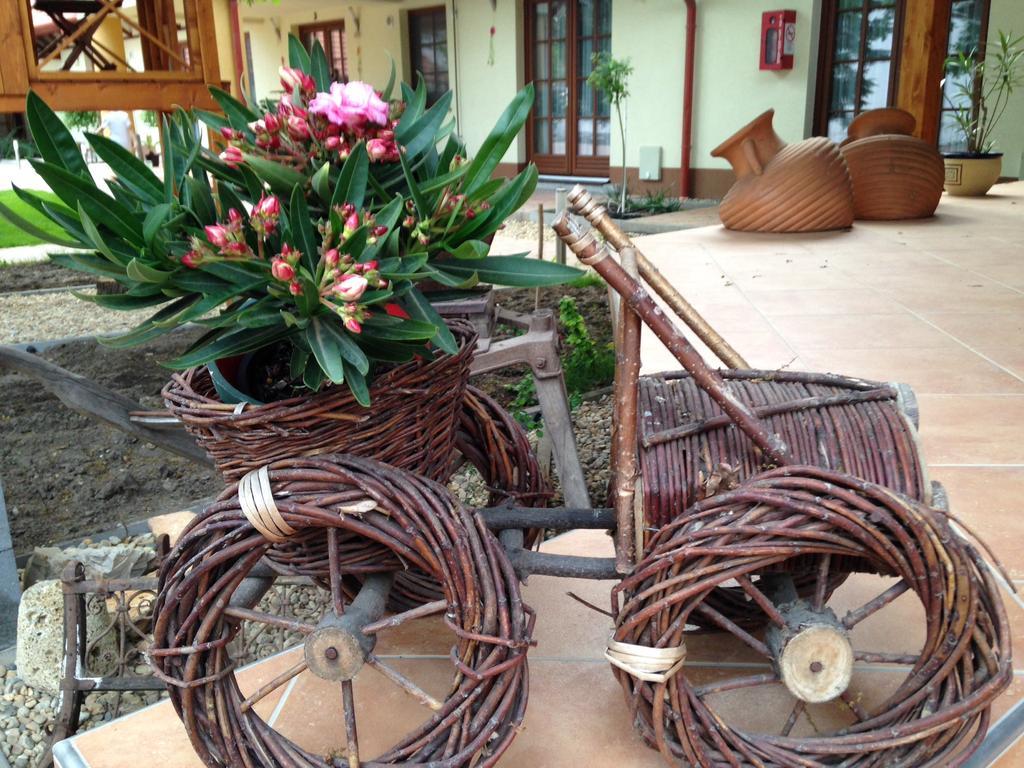 Oeregtoelgy Panzio Hotel Csongrad Ngoại thất bức ảnh